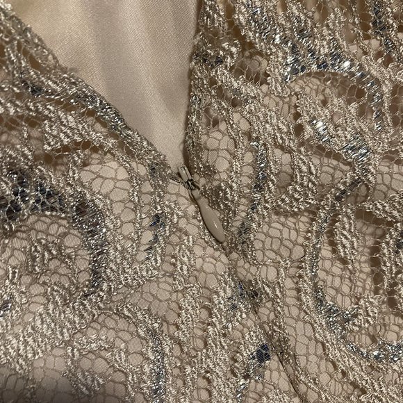 Jenny Yoo Collection Sliver and Cream Lace Cocktail Dress - Picture 8 of 12